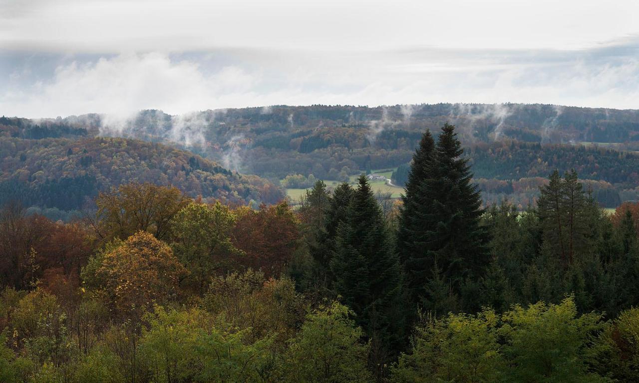 Sainte-Marie-en-Chanois Pas De Deux Bed & Breakfast エクステリア 写真